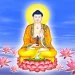 Đi vào bản nguyện Dược Sư